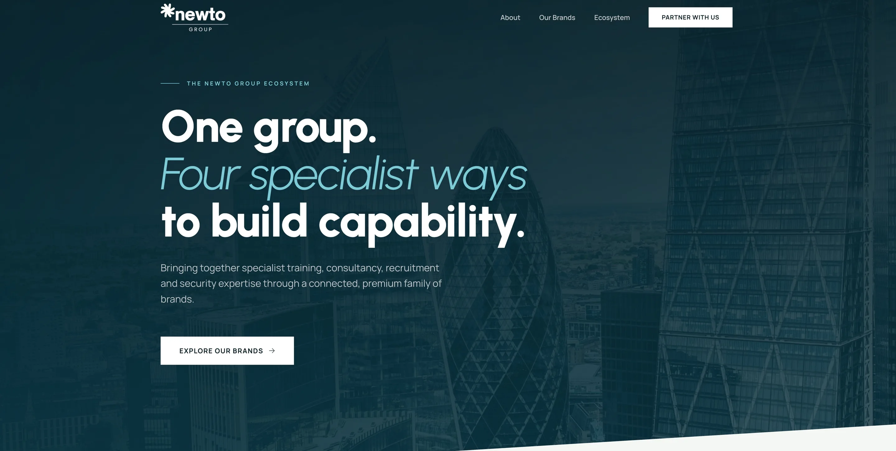 Newto Group website preview