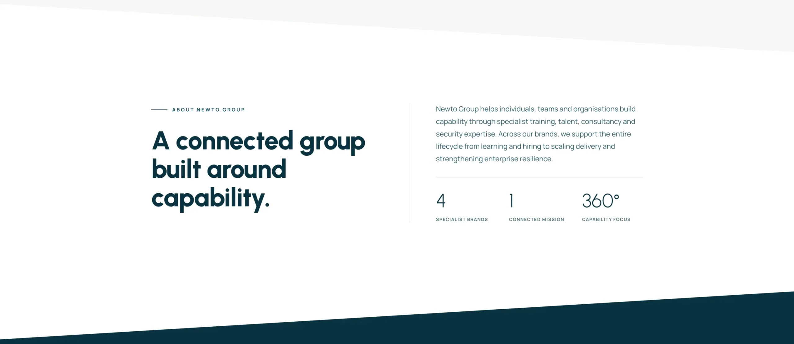 Newto Group about section with capability stats