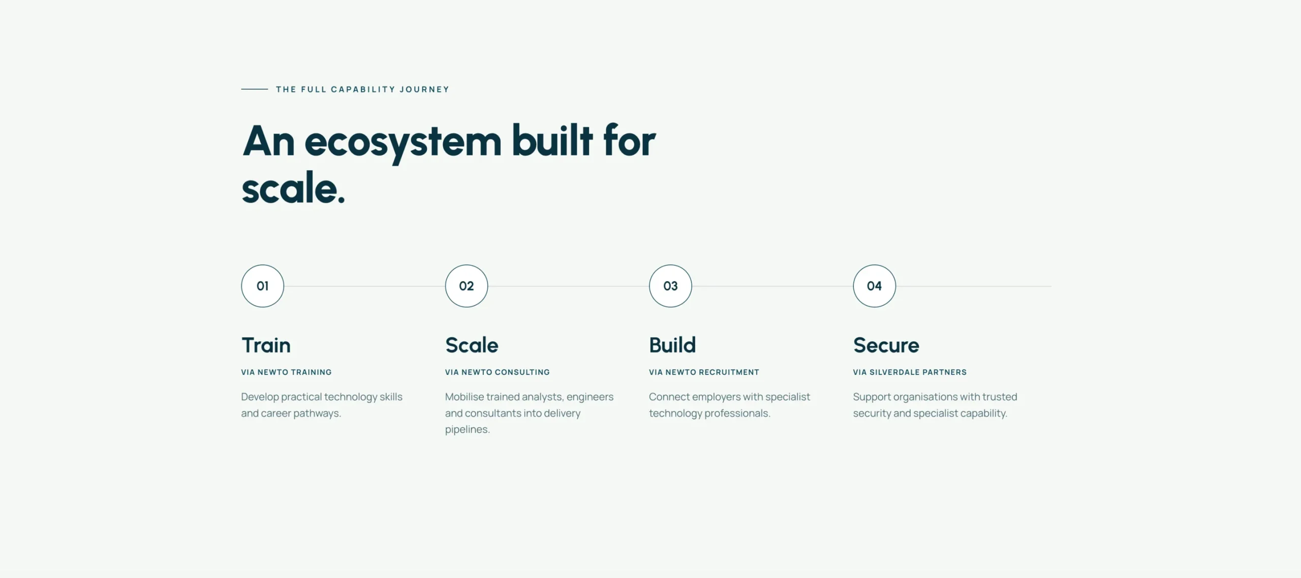 Newto Group Train Scale Build Secure capability journey